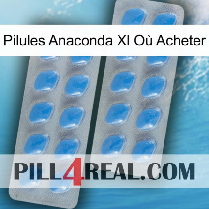 Pilules Anaconda Xl Où Acheter 23